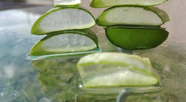 Aloe vera da bere: ecco 5 succhi da provare